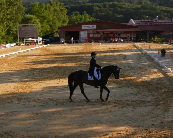 Reitturnier Uder, Reitanlage Kobold 2023