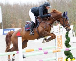 jumper Kalia Vom Burgdamm (Hanoverian, 2016, from Kannan)