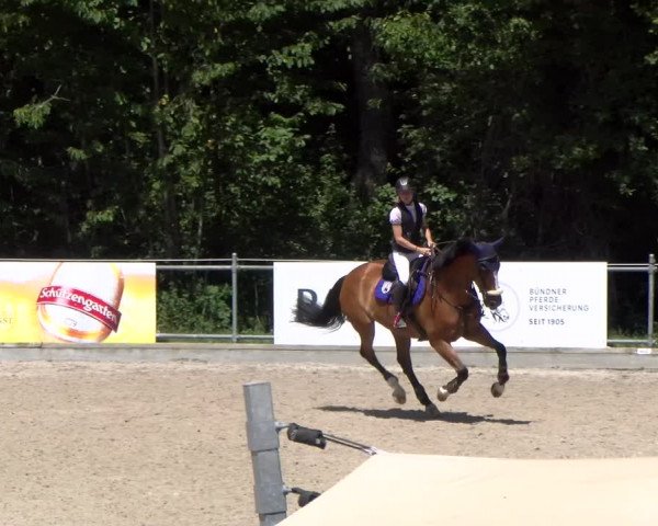Reitturnier Maienfeld 2023
