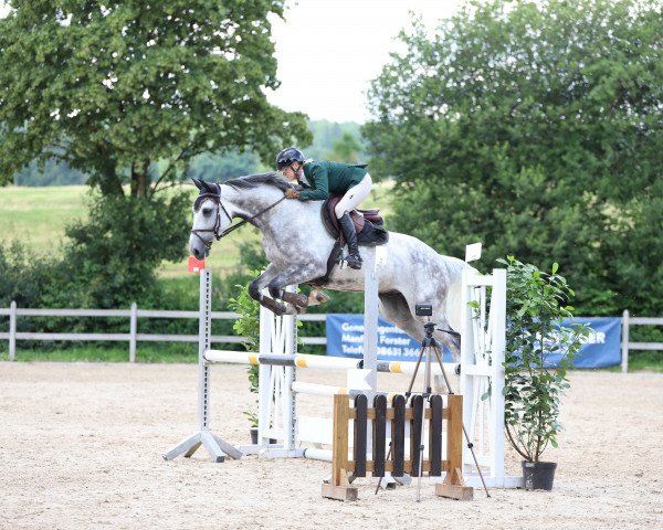 Springpferd César Blanc d’Azur (Westfale, 2016, von Congress)