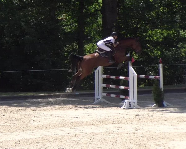 Reitturnier Maienfeld 2023