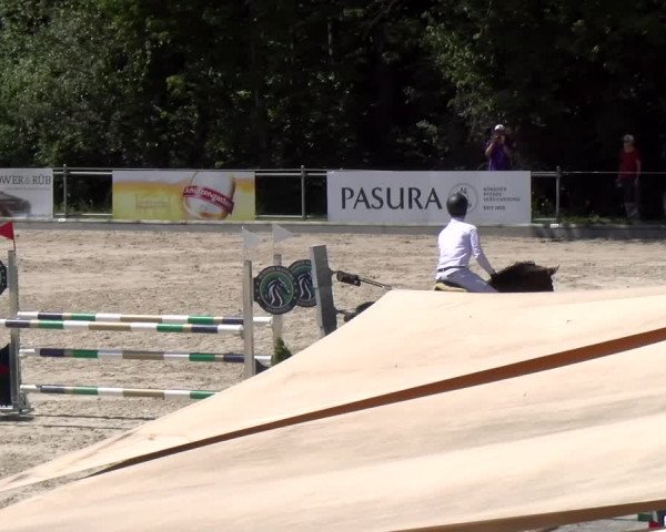 Reitturnier Maienfeld 2023