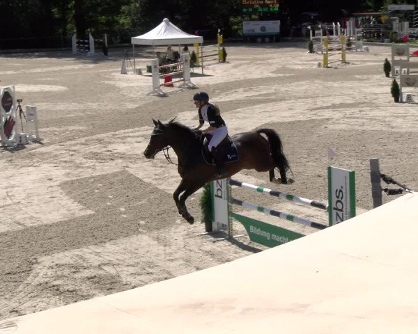 Reitturnier Maienfeld 2023