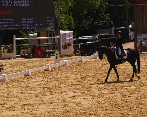Reitturnier Uder, Reitanlage Kobold 2023