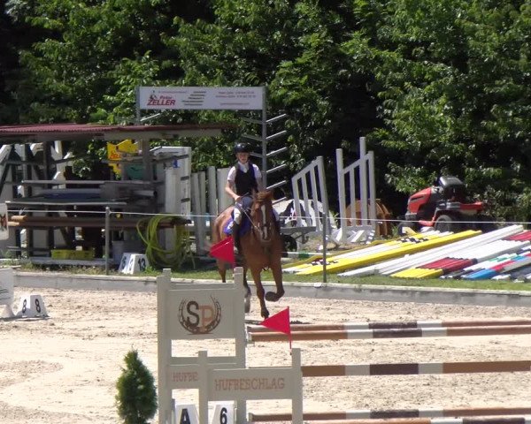 Reitturnier Maienfeld 2023