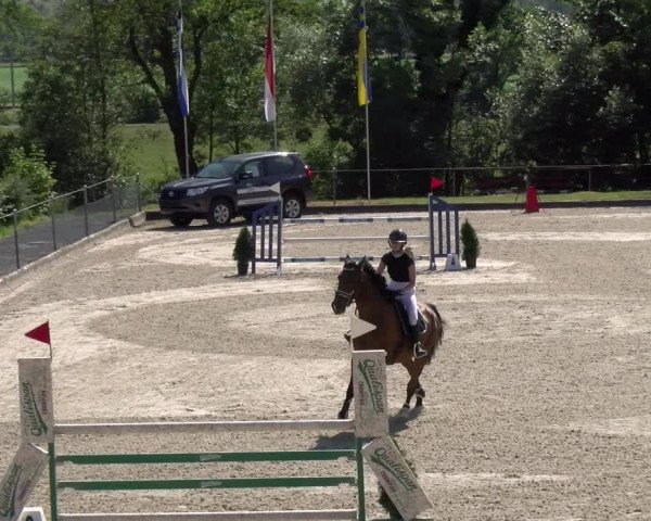 Reitturnier Maienfeld 2023