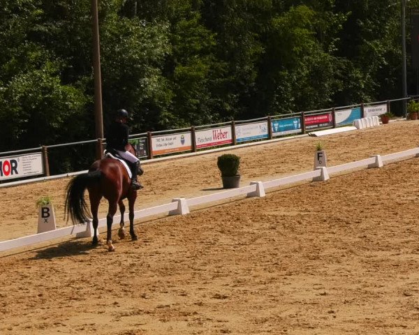 Reitturnier Uder, Reitanlage Kobold 2023