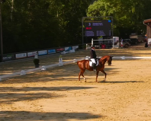 Reitturnier Uder, Reitanlage Kobold 2023