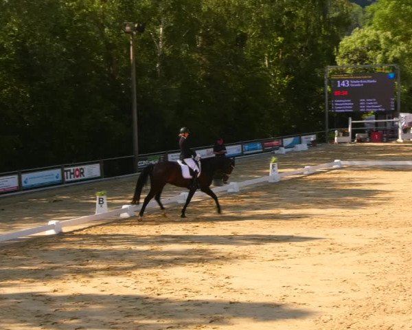 Reitturnier Uder, Reitanlage Kobold 2023