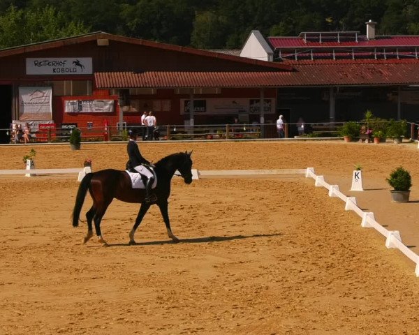 Reitturnier Uder, Reitanlage Kobold 2023