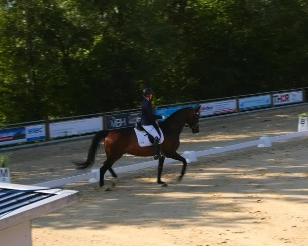 Reitturnier Uder, Reitanlage Kobold 2023