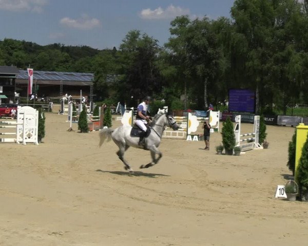 Reitturnier Schwerte 2023