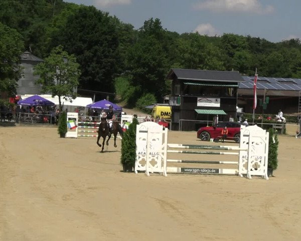 Reitturnier Schwerte 2023