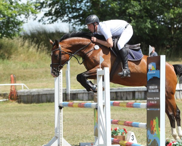 jumper Conjana (Mecklenburg, 2015, from Catoki's Clever)