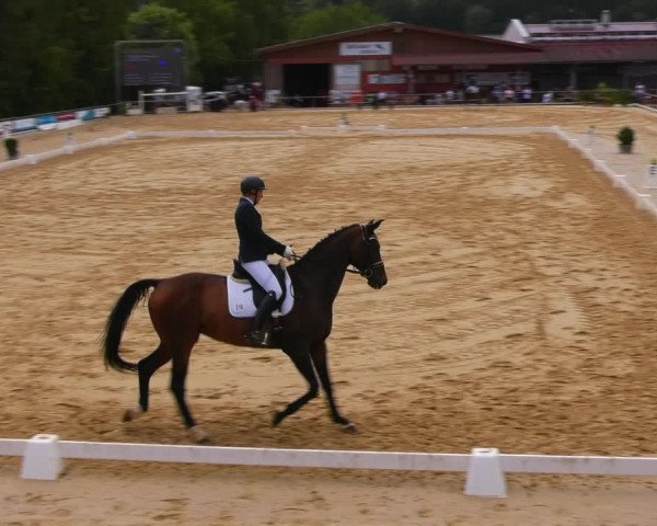 Reitturnier Uder, Reitanlage Kobold 2023