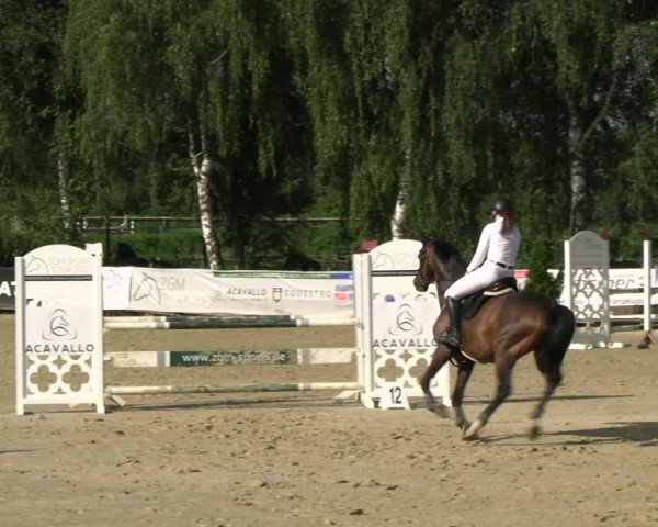 Reitturnier Schwerte 2023
