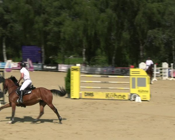 Reitturnier Schwerte 2023