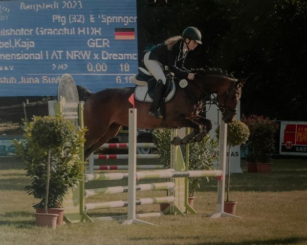 dressage horse Failshofer Graceful Harmony (German Riding Pony, 2015, from Dreidimensional AT NRW)