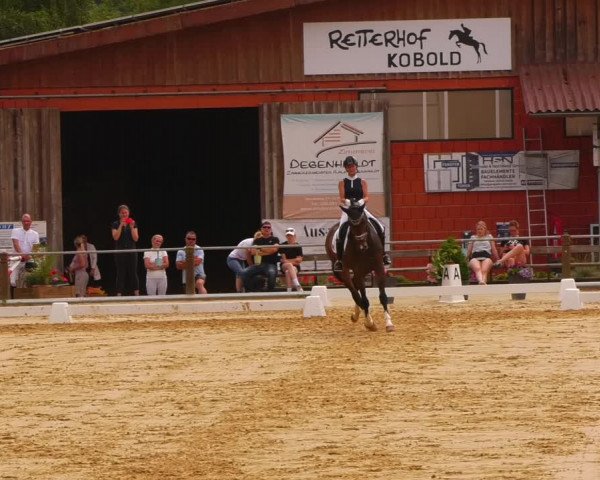 Reitturnier Uder, Reitanlage Kobold 2023