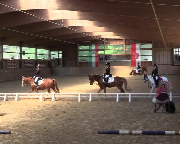 Reitturnier Schwerte 2023
