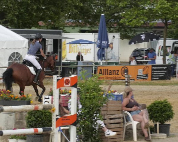 Reitturnier Heiligenwald 2023