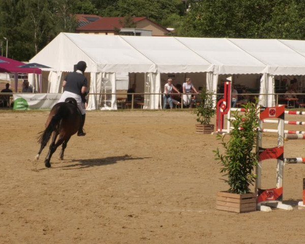 Reitturnier Heiligenwald 2023