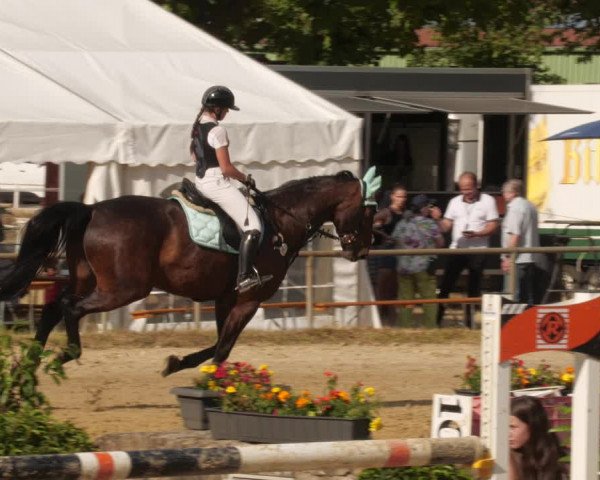Reitturnier Heiligenwald 2023