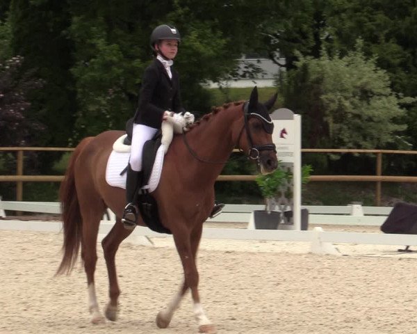 Reitturnier St. Ulrich am Pillersee 2023