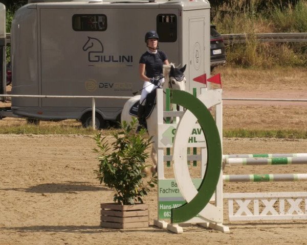 Reitturnier Heiligenwald 2023