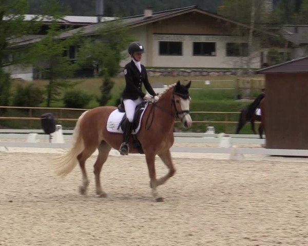 Reitturnier St. Ulrich am Pillersee 2023