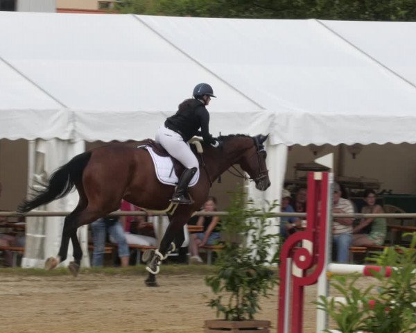 Reitturnier Heiligenwald 2023