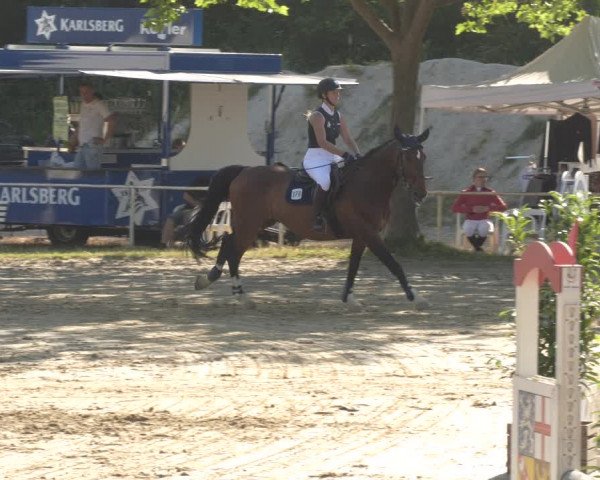 Reitturnier Heiligenwald 2023