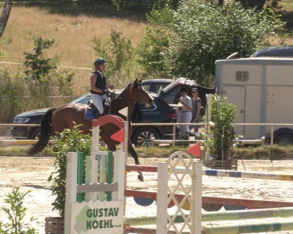 Reitturnier Heiligenwald 2023