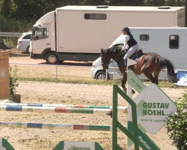 Reitturnier Heiligenwald 2023