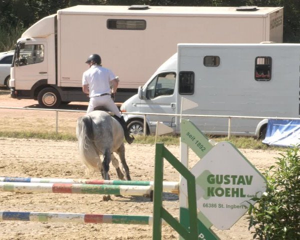 Reitturnier Heiligenwald 2023