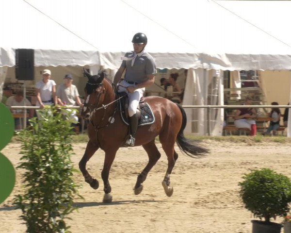 Reitturnier Heiligenwald 2023