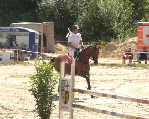 Reitturnier Heiligenwald 2023