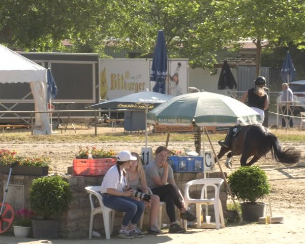 Reitturnier Heiligenwald 2023