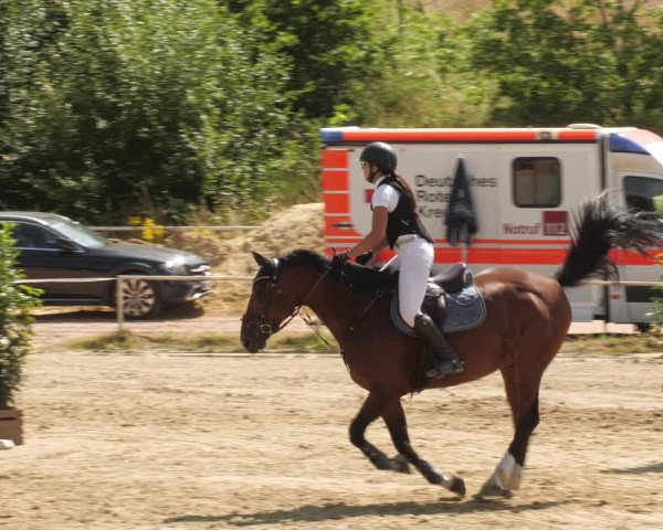 Reitturnier Heiligenwald 2023