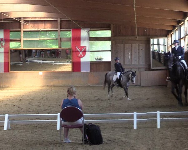 Reitturnier Schwerte 2023