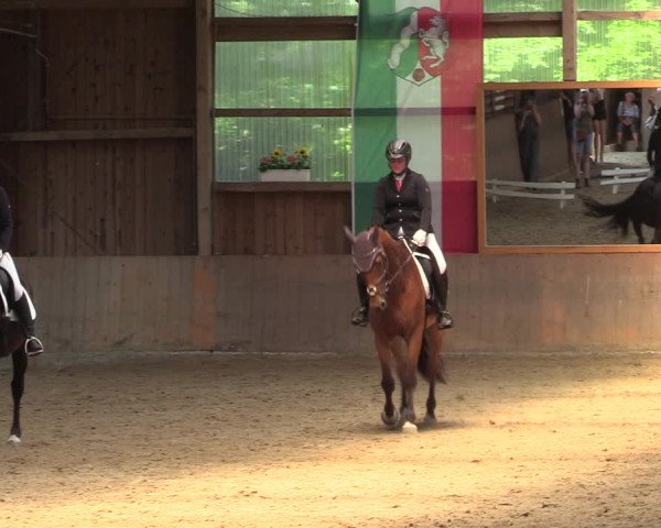 Reitturnier Schwerte 2023
