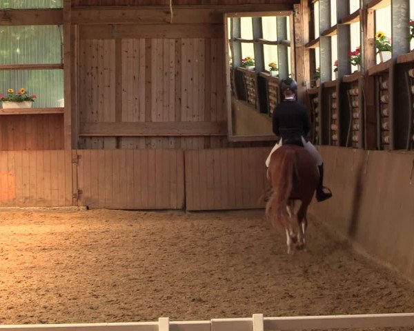 Reitturnier Schwerte 2023