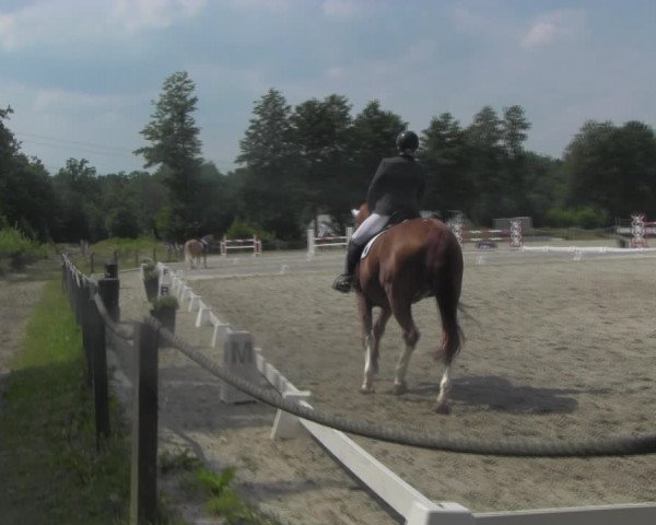 Reitturnier Handorf 2023