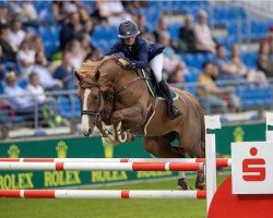 broodmare I'm Here (KWPN (Royal Dutch Sporthorse), 2013, from Carambole)