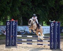 Springpferd Gyda (Deutsches Reitpony, 2016, von HET Golden Dream)