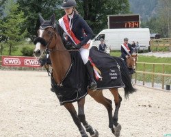 Springpferd Candillera (Württemberger, 2006, von Candillo Z)