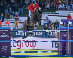 stallion Diachacco (Oldenburg, 2012, from Diarado)