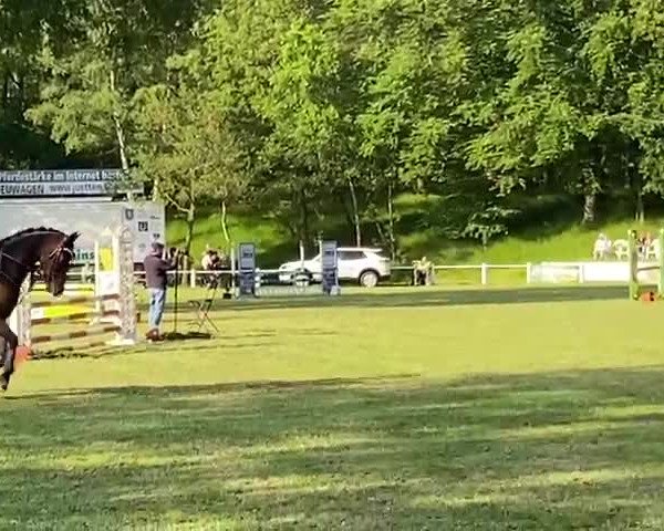 Video von Illusion 84
