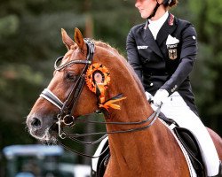 stallion Gut Wettlkam's D'avie FRH (Hanoverian, 2012, from Don Juan de Hus)