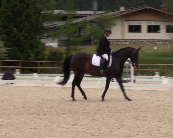 Reitturnier St. Ulrich am Pillersee 2023